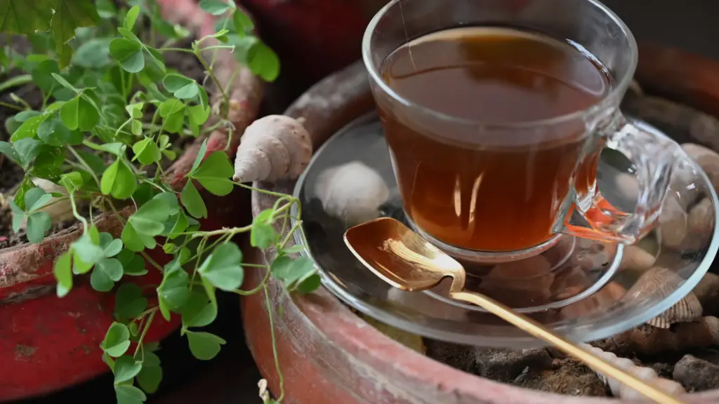 Tisane d’allaitement : ce qu’elle peut vraiment
