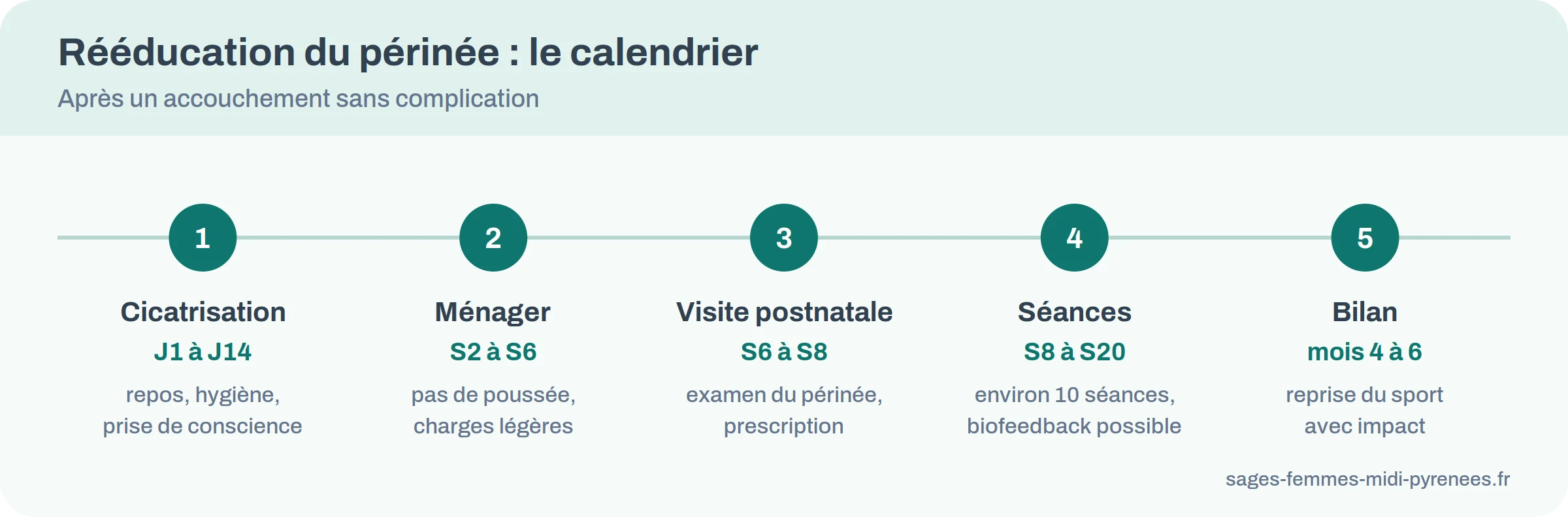 Calendrier de la rééducation du périnée : cicatrisation jours 1 à 14, repos semaines 2 à 6, visite postnatale semaines 6 à 8, séances semaines 8 à 20, bilan mois 4 à 6