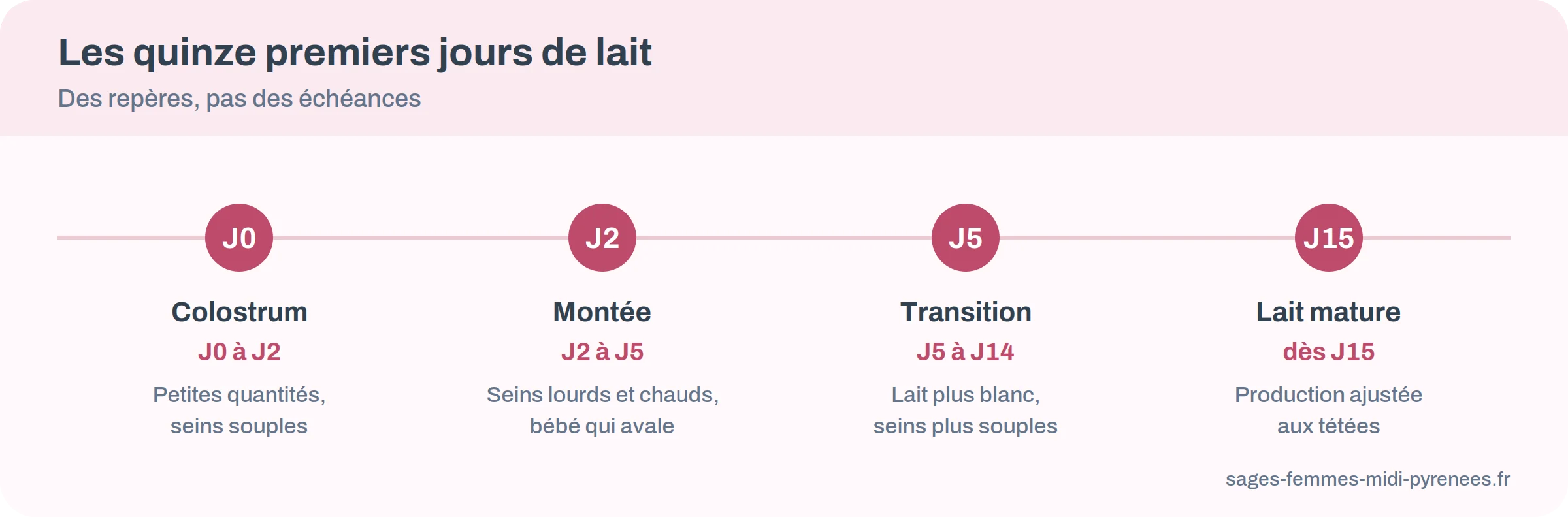 Frise des quinze premiers jours de l'allaitement, du colostrum au lait mature