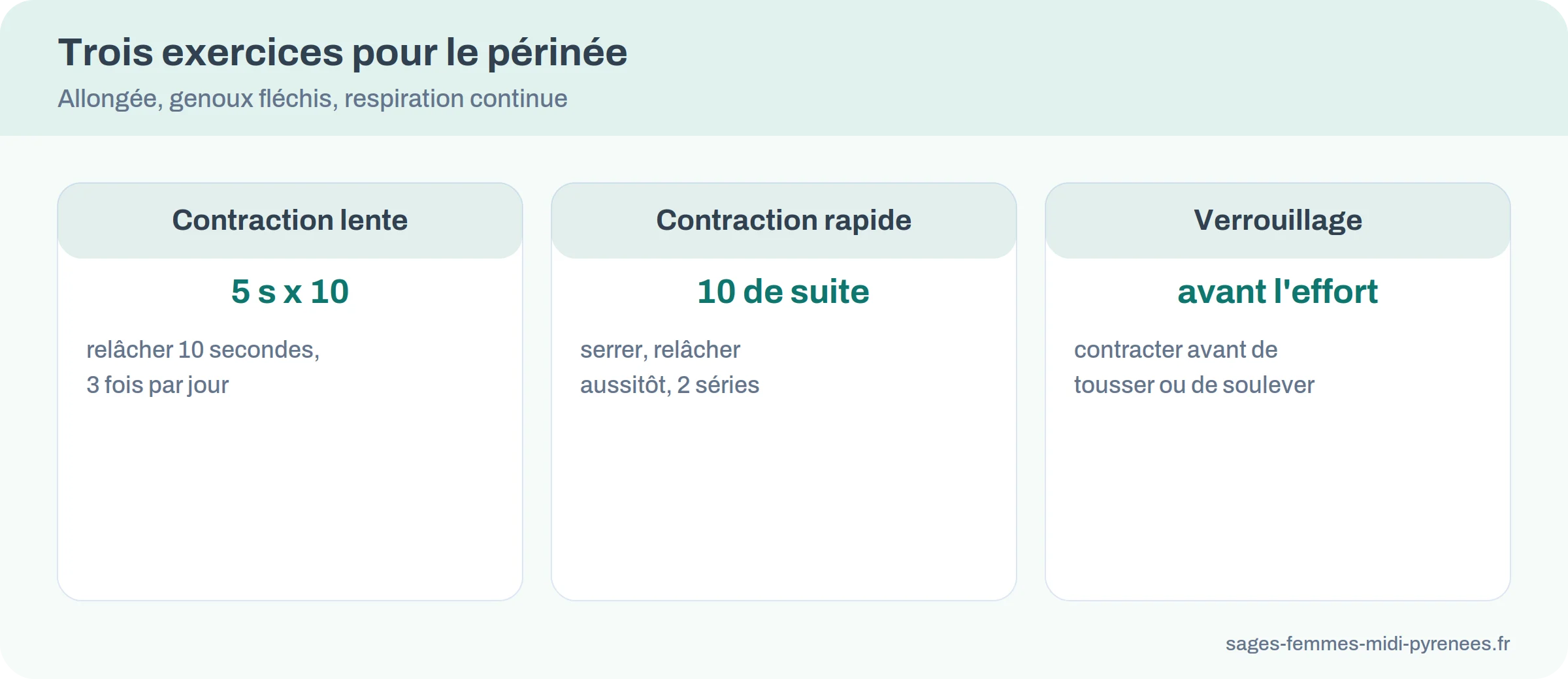 Trois exercices de périnée : contraction lente 5 secondes x 10, contraction rapide x 10, verrouillage avant l'effort