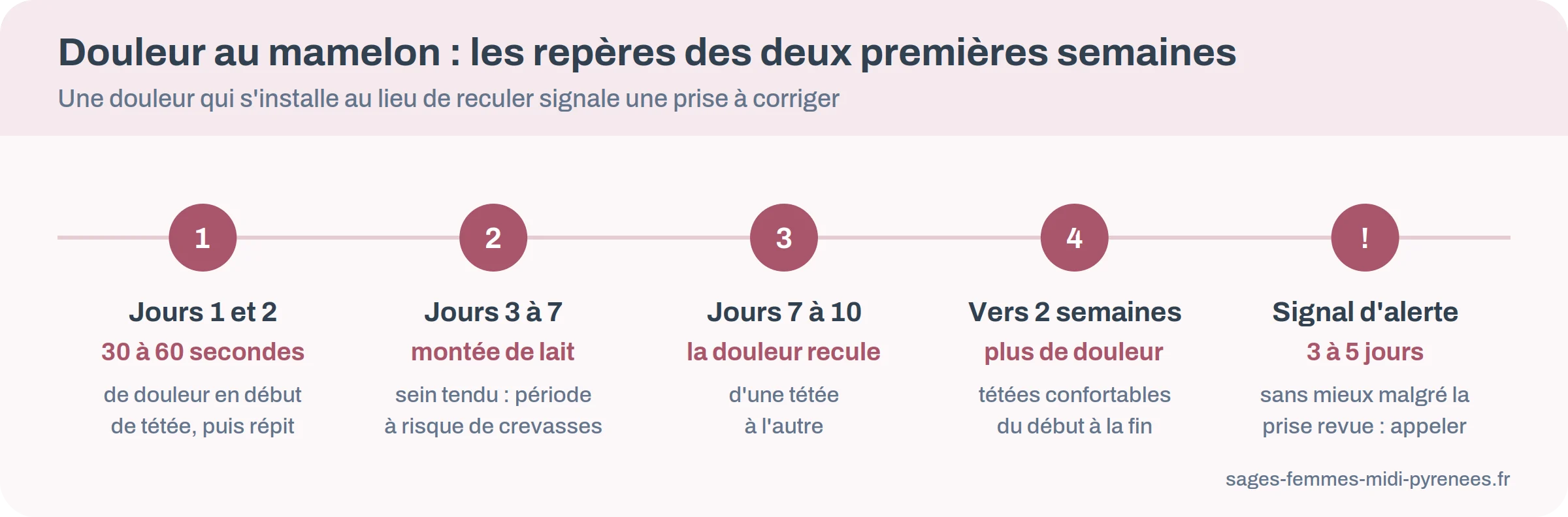 Frise des deux premières semaines d'allaitement : sensibilité normale, période à risque de crevasses, amélioration attendue et seuil pour consulter